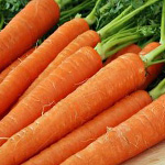 морковь 1