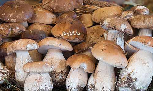 Белые грибы в томатном пюре