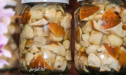 Консервы из свежих грибов на зиму