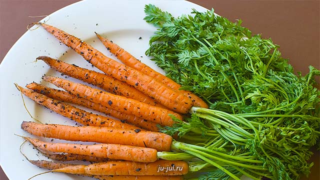 Помидоры с ботвой моркови заготовка